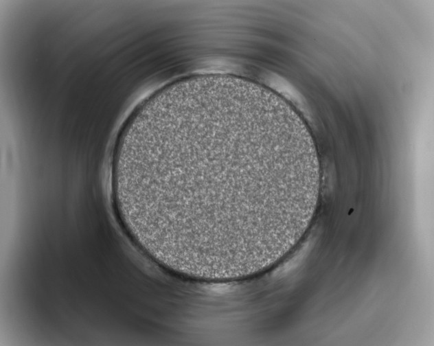 X0000095921130200802081108