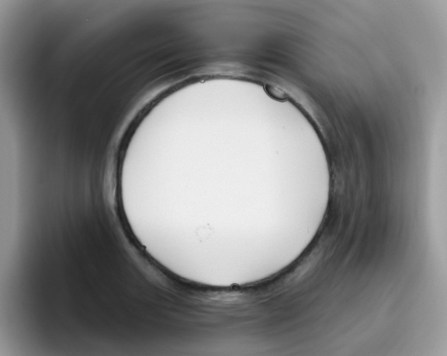 X0000095921131200802081108