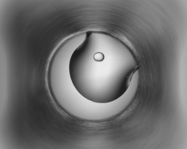 X0000095921132200802081108