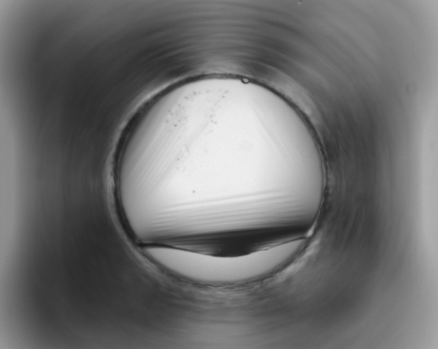 X0000095921133200802081108