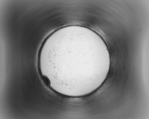 X0000095921135200802081108