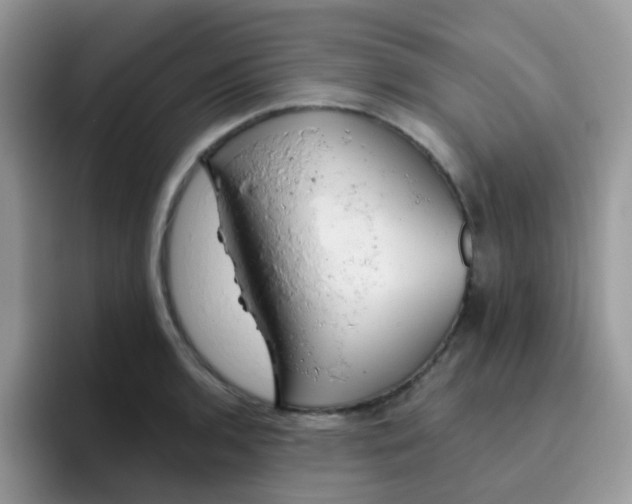 X0000095921136200802081108