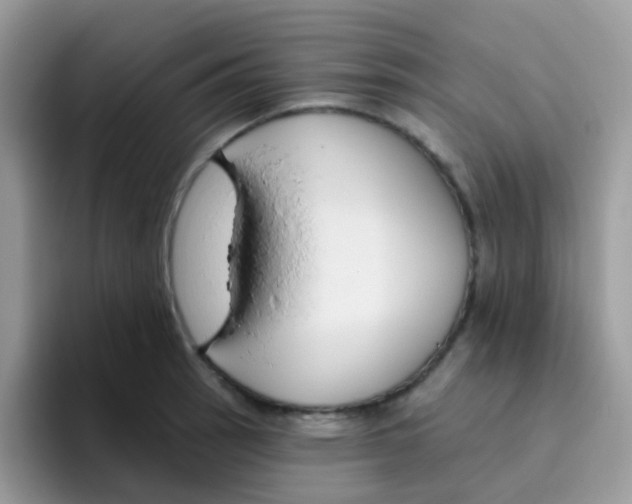 X0000095921137200802081108