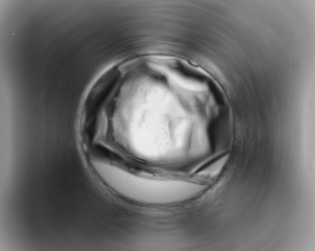 X0000095921138200802081108