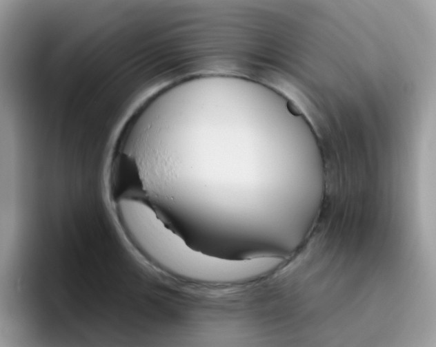 X0000095921139200802081108