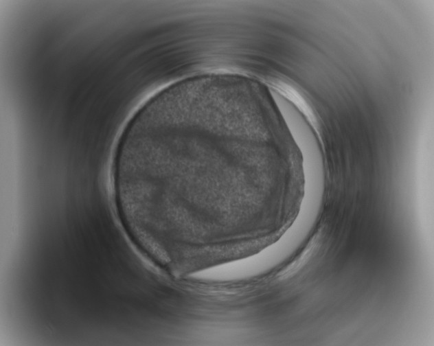 X0000095921141200802081108