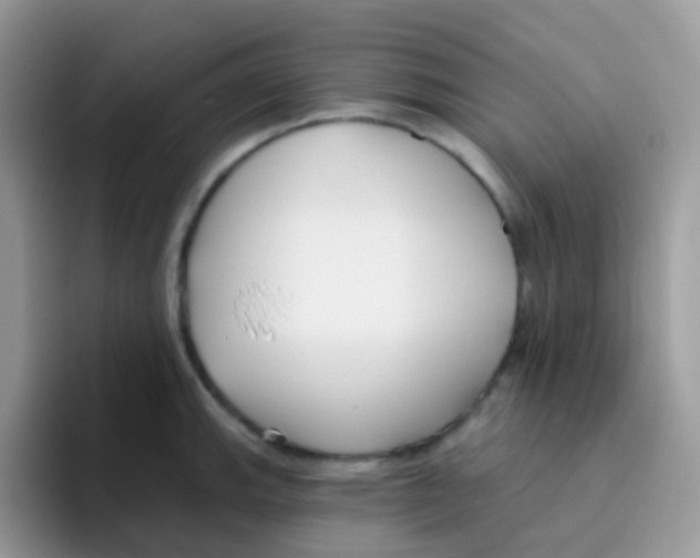 X0000095921143200802081108