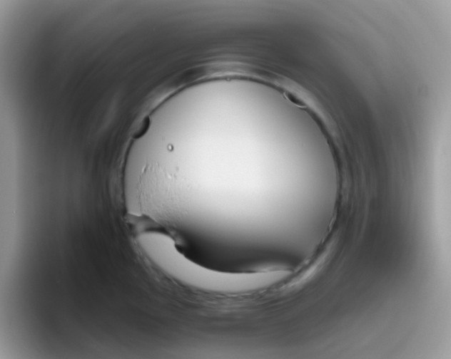 X0000095921145200802081108