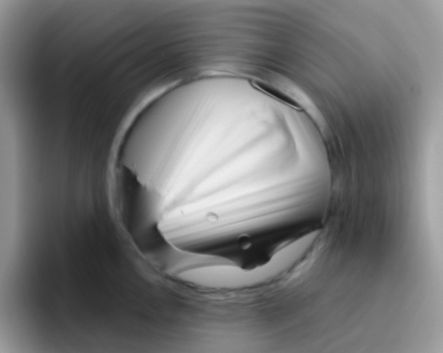 X0000095921146200802081108