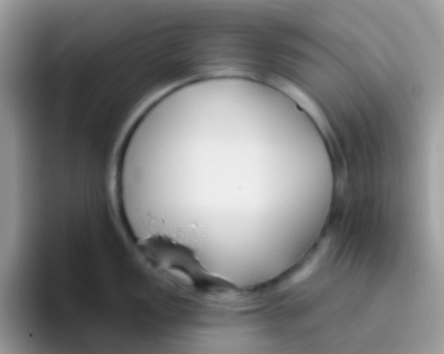 X0000095921149200802081108