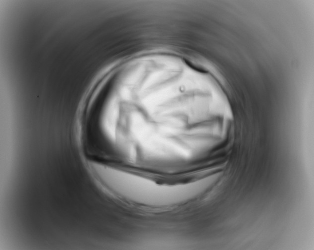 X0000095921151200802081108