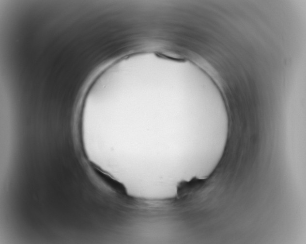 X0000095921152200802081108