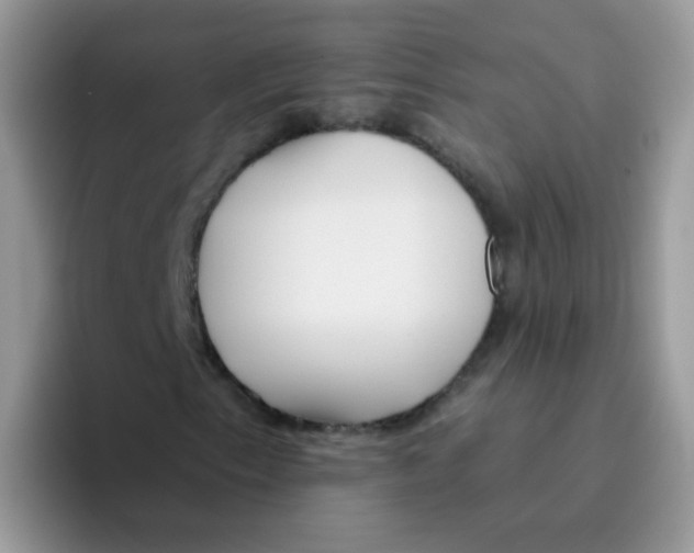 X0000095921153200802081107