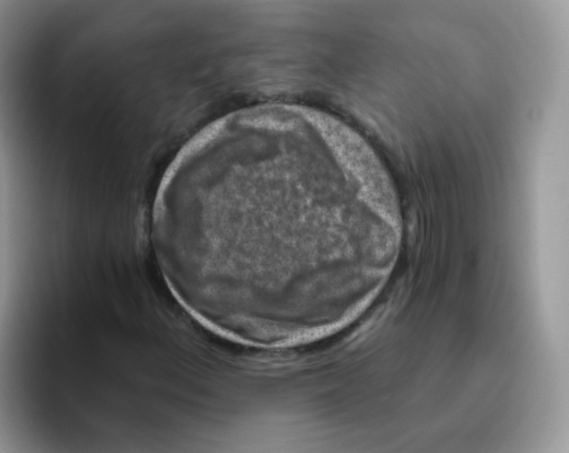 X0000095921156200802081107