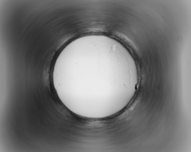 X0000095921162200802081107