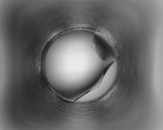 X0000095921165200802081107