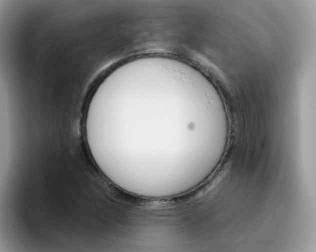 X0000095921166200802081107