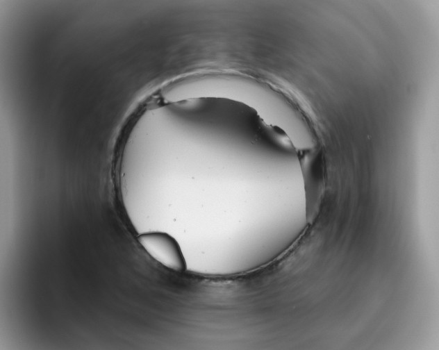 X0000095921168200802081107