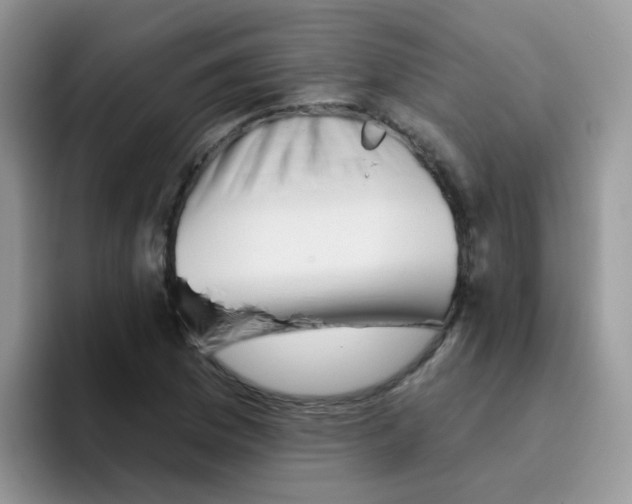 X0000095921169200802081107