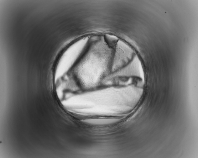 X0000095921171200802081107