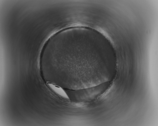 X0000095921173200802081107