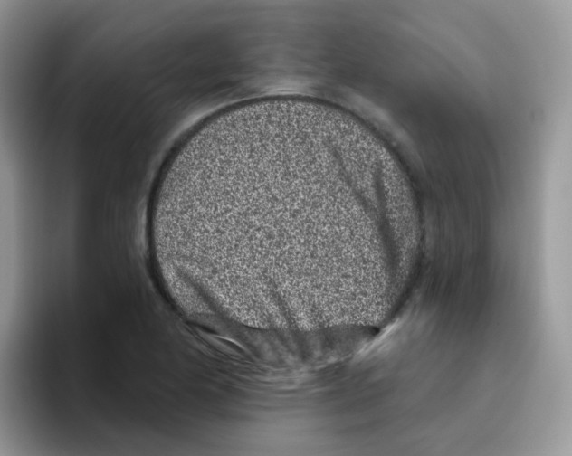 X0000095921174200802081107