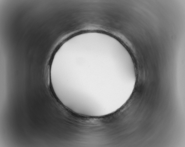 X0000095921175200802081107