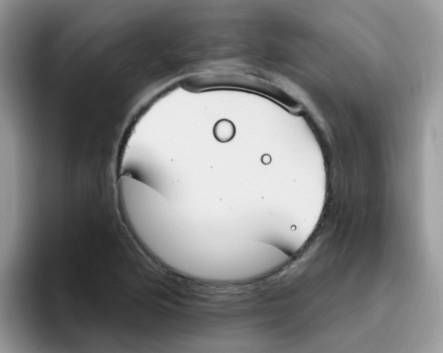 X0000095921176200802081107