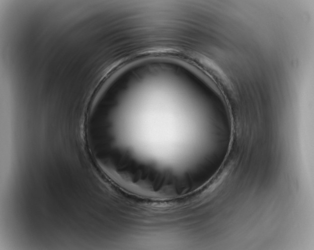 X0000095921177200802081107