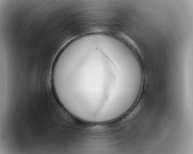 X0000095921178200802081107