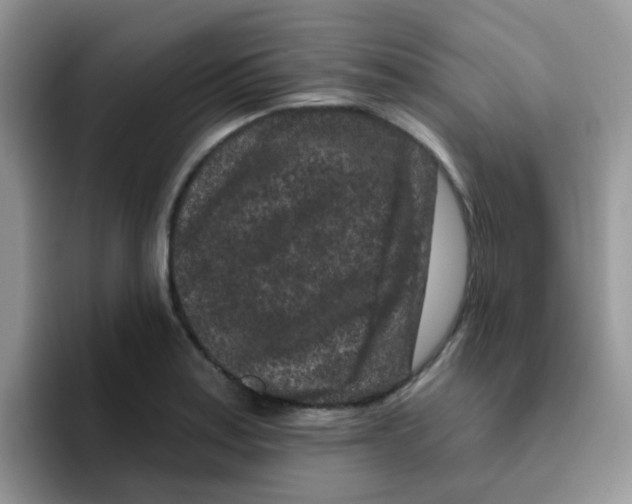 X0000095921179200802081107