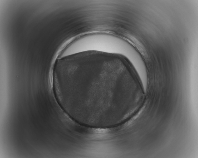 X0000095921180200802081107