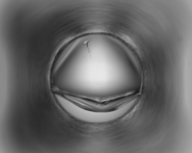 X0000095921181200802081107