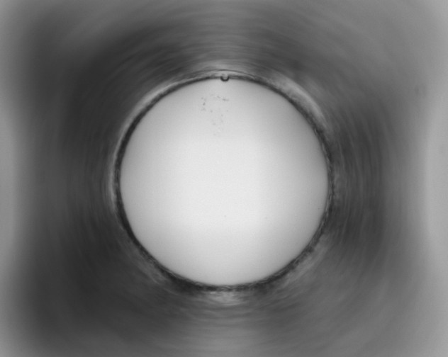 X0000095921182200802081107