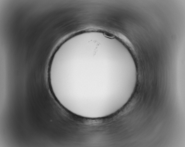 X0000095921183200802081107