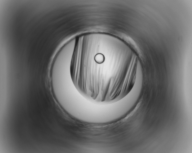 X0000095921184200802081107