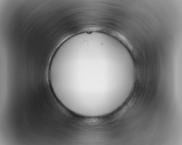 X0000095921186200802081107