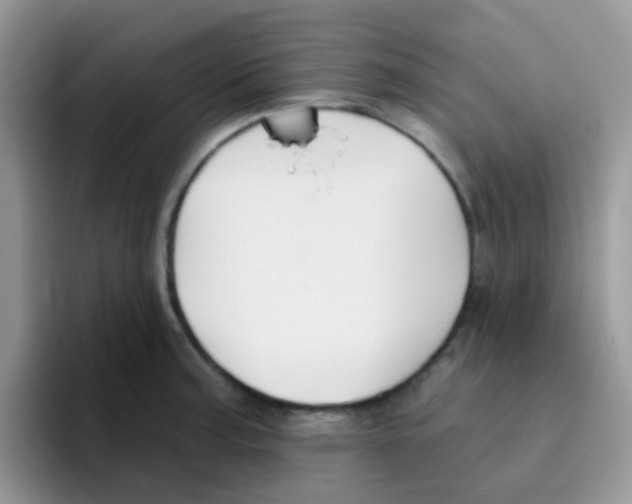 X0000095921187200802081107