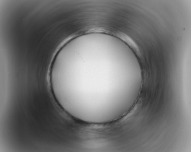 X0000095921190200802081107