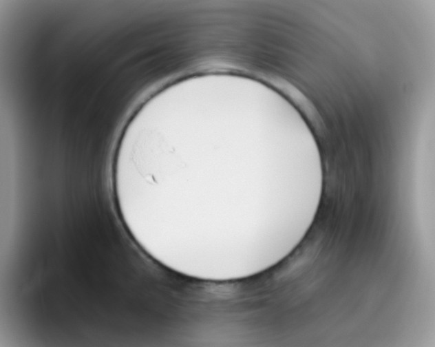 X0000095921191200802081107