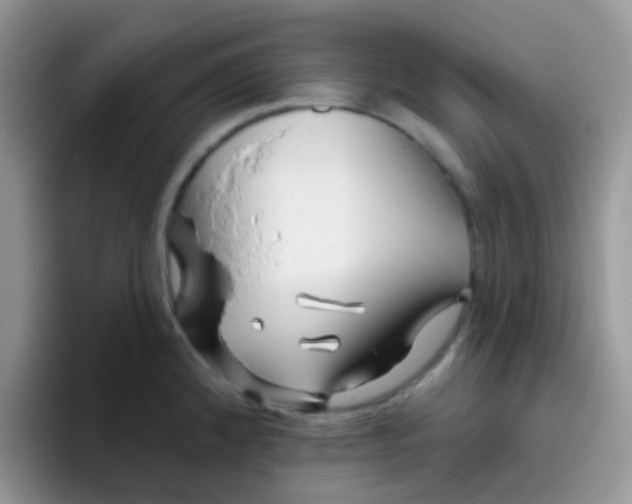 X0000095921192200802081107