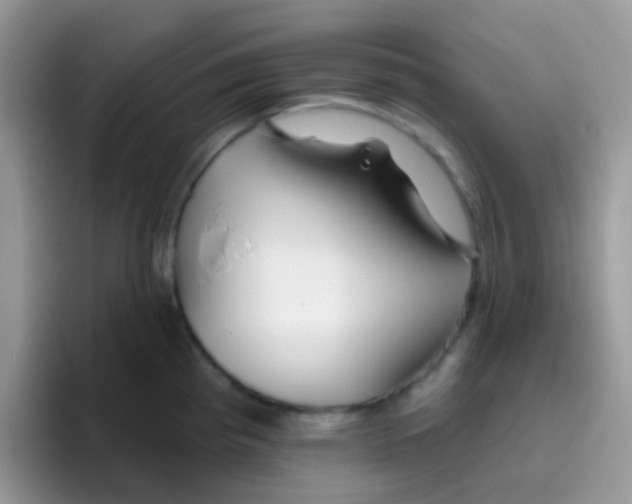 X0000095921193200802081107