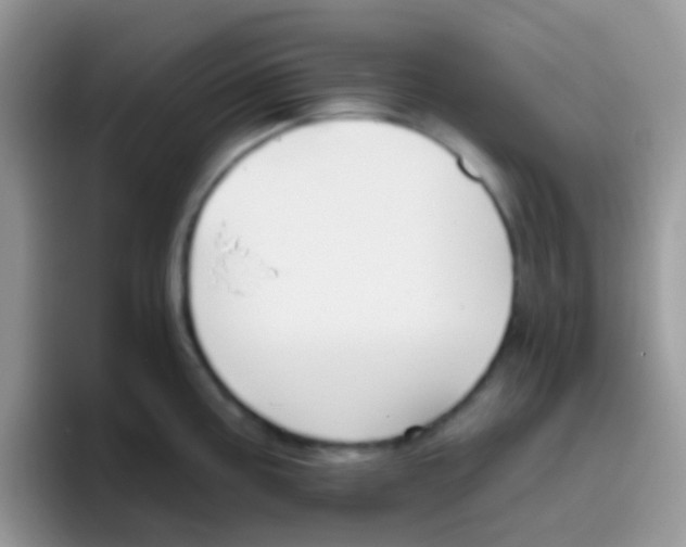 X0000095921195200802081107