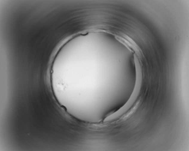 X0000095921196200802081107