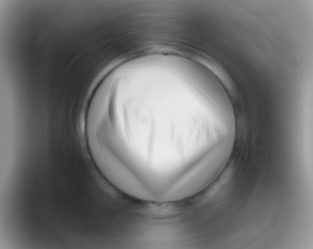 X0000095921198200802081107