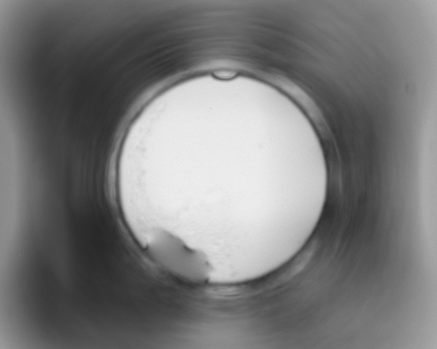 X0000095921199200802081107