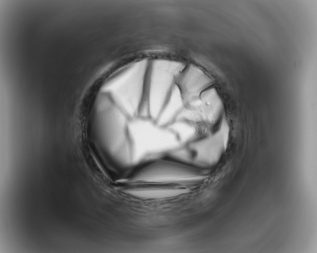 X0000095921208200802081106