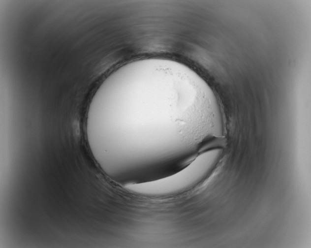 X0000095921209200802081106