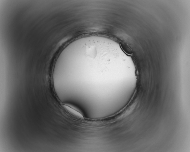 X0000095921210200802081106