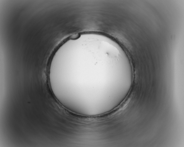 X0000095921212200802081106